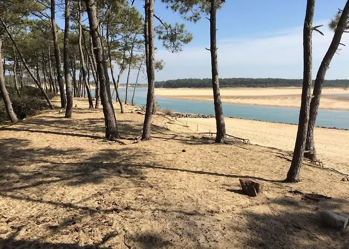 A 2 Pas De Et Commerces, Jardin & Parking * 莱萨布勒-多洛讷